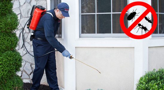 Baklan Bit İlaçlama böcek ilaçlama ve haşere kontrolü — ilaclama-tr.com